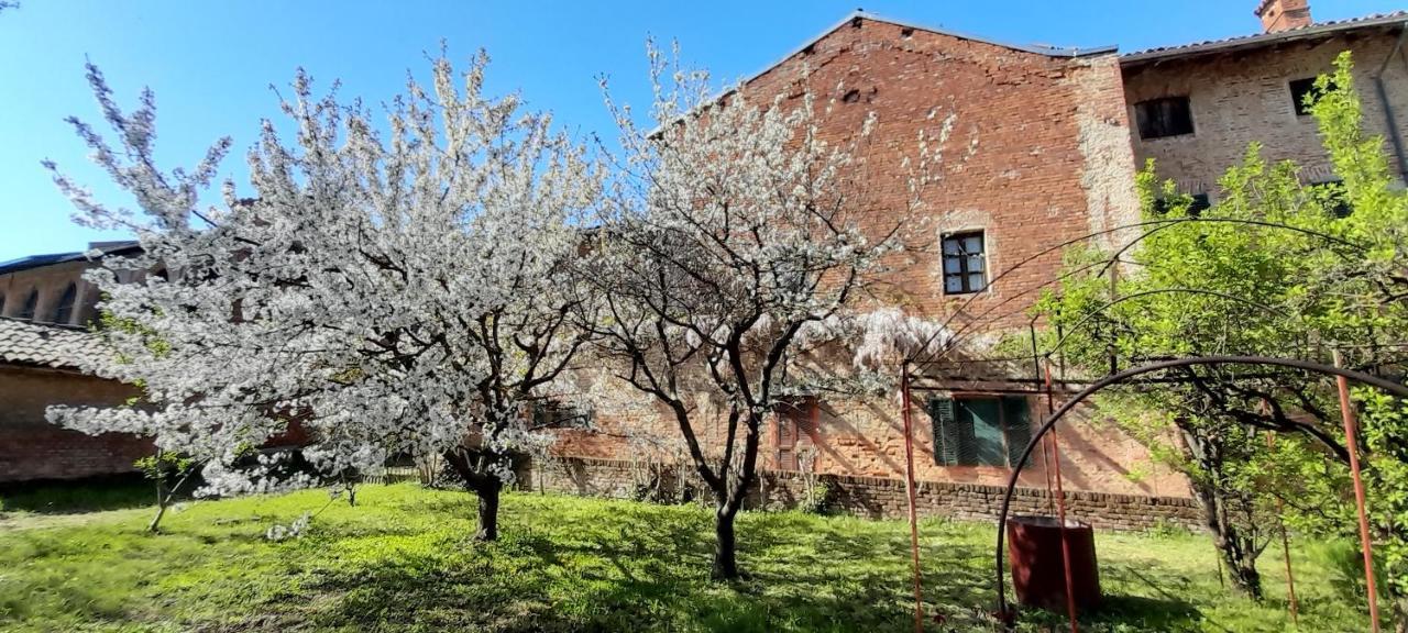 Agriturismo Olivazzi Quattordio Екстериор снимка